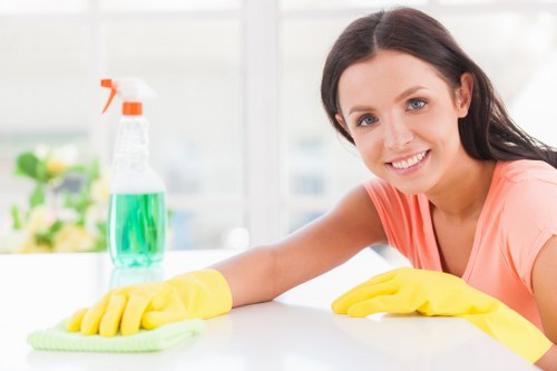 Professional carpet cleaner in Wandsworth deep cleaning a home carpet