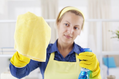 Professional cleaner in Wandsworth providing home cleaning services