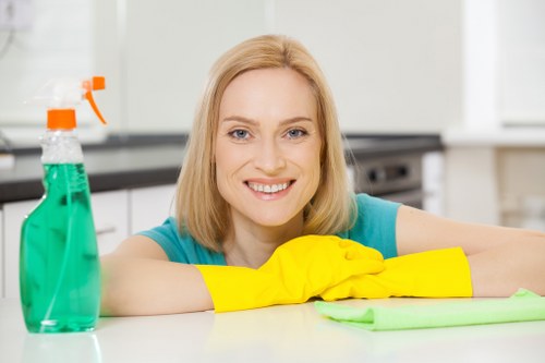 Local domestic cleaner maintaining a modern Wandsworth apartment