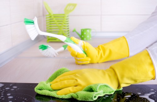 Stain removal and vacuuming during rug cleaning in Wandsworth