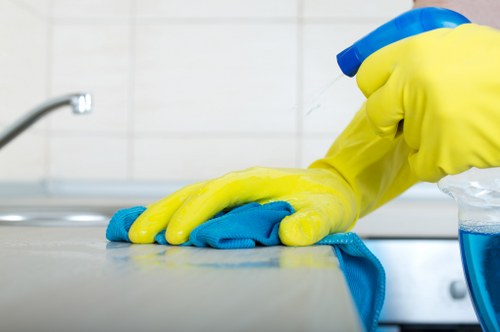 Deep cleaning supplies ready for a one off clean in Wandsworth