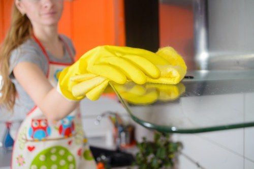 Deep cleaning service in Wandsworth focusing on bathroom and tile sanitising
